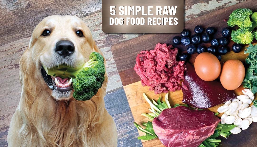 Vital Vitamins and Minerals For Pets Fed Raw Food